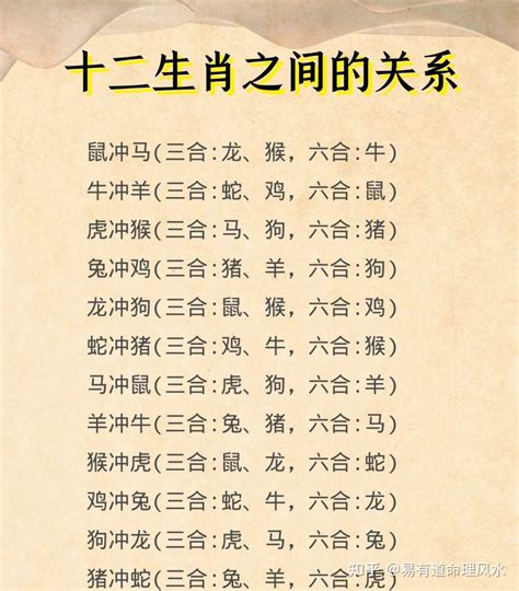 屬雞跟什麼生肖合|屬雞和什麼生肖最合？看生肖配對與性格互補的最佳組合